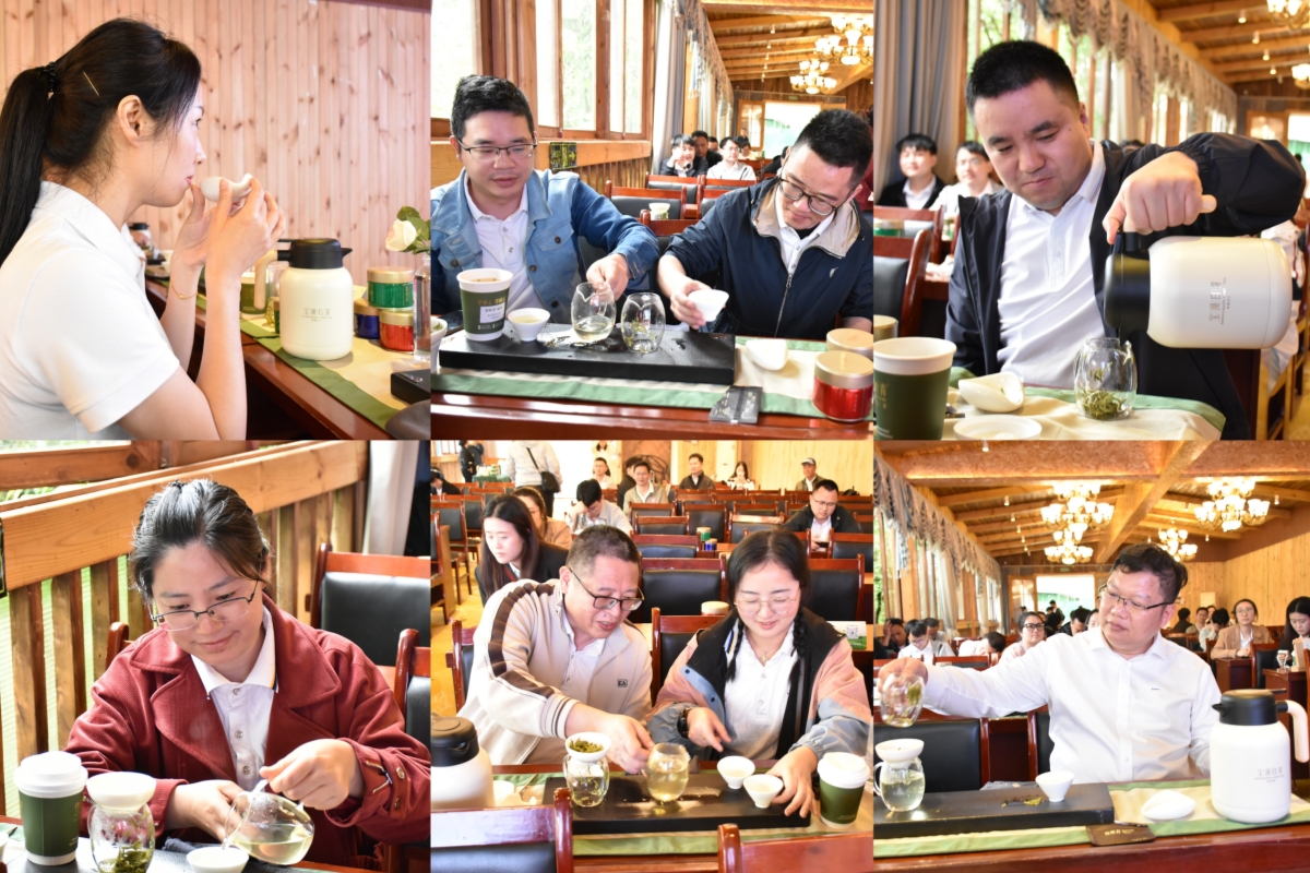 茶藝培訓(xùn)配圖